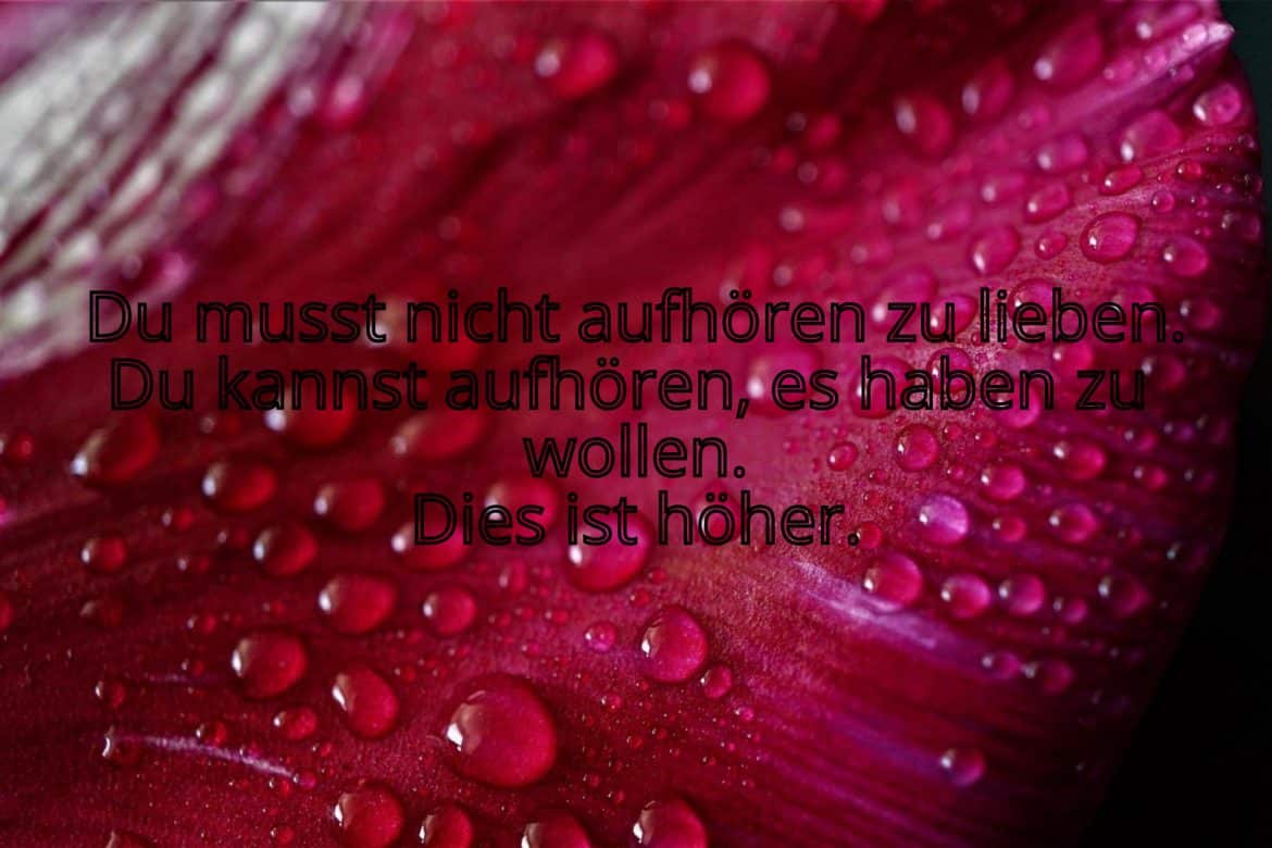 Bilder mit Leben genießen Sprüche