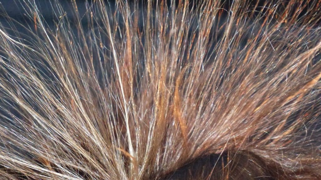 Was tun gegen elektrische Haare?