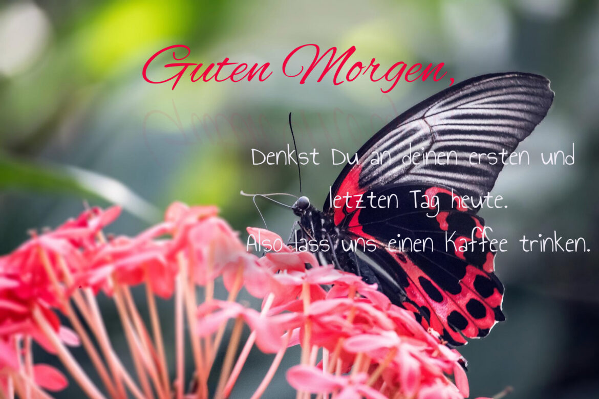 Guten Morgen Bilder mit der Kaffee-Einladung Wörter